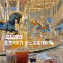 포항시남구39 | [포항/북구] 영일대해수욕장 해돋이 회전목마 카페 오브레멘