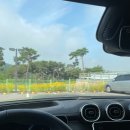 동덕여자대학교 문화산업예술대학원 | [후기] 문화예술교육사2급 자격증 발급 후기, 중부대학교 문예론 수강후기