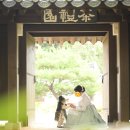 감을아는여자 | 돌스냅 '감을아는여자' 야외 촬영 후기