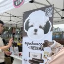 양일농장 | 🎡 킹율과 함께한 오산 동물농장 테마파크 놀이댕산 반려견 축제 후기