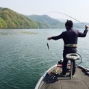 고바우낚시 - 춘천시 당간지주길 80 | 고바우낚시