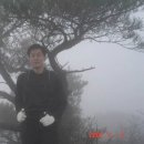 여원치 이미지