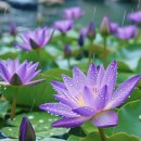 미소와행복 이미지