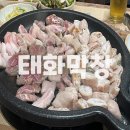 태화 | [공지] 울산 태화동 맛집 &lt;태화막창&gt; 먹어본 후기