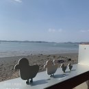 바다와풍경 | 제부도 가볼 만한 곳 추천, 바다와 풍경 카페까지 다녀온 솔직 후기