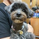 외갓집농산 | 8월 첫째쥬