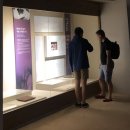 요스네일