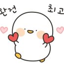 주식회사차연 이미지