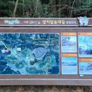 장미아파트 공영주차장 앞 이미지