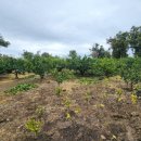 원이네농장 이미지