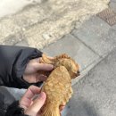 산방댁 이미지