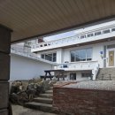 신와사비 | 묵호 중식당 맛집 '수희' 문어짬뽕, 와사비크림새우 내돈내산 후기