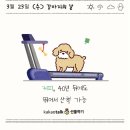 여수 슈가몽 이미지