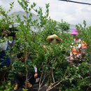 대환농장 이미지