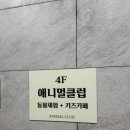 사나이클럽 | 송도 애니멀클럽후기