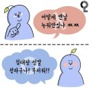 인스타즈 이미지