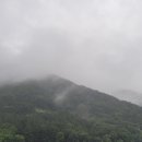 천년나무3단지 앞 이미지