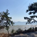 신안오토 이미지