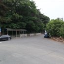 창원 신방리 음나무군 이미지