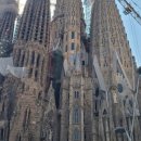 정다운민박 이미지