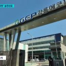 한울태양광발전소 이미지