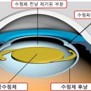 삼계성모안과 이미지