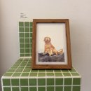 삼일삼오 이미지