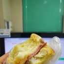 그린애플투어 이미지