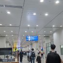 나비야호텔 | 푸꾸옥 3박 4일 여행 🏝 호텔 추천 &amp; 조식 맛집 후기까지 다 있다! (가성비 숙소부터 노보텔 후기까지)
