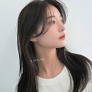 댕댕이 커트방 | 머리 떡짐 현자타임 왔을 때 내돈내산 등극한 '아이드블랑' 후기, 폼 미쳤다!