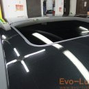 Evo-Luster 이미지