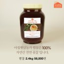 지리산아침 이미지