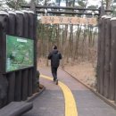 곰이 키우는 목장 이미지