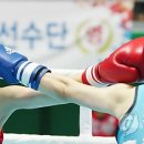 크로스펀치 이미지