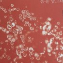 탑산약수온천 이미지