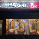 제주부리는돼지