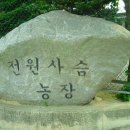 전원사슴농장 이미지