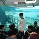 여행그리기 이미지