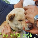 가락슈퍼 Daum카페