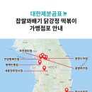 닭강정챔피언&떡볶이