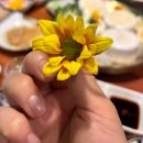 강세호참치 | 신설동역 맛집 강세호참치 솔직후기 (가성비 최고)