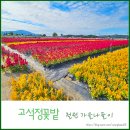 철원나들이 가을의 정석 고석정꽃밭 방문후기
