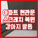 평촌자이아이파크 숲속애어린이집 | 아파트현관문스크레치복원 강아지발톱