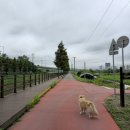 호국로627번길 이미지