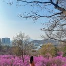 종합운동장역 1번출구 | 부천 원미산 진달래동산 주차장 둘레길 등산 꽃구경 갈만한곳