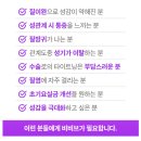 비비시스템 이미지