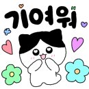 쏘스윗펫 이미지