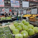 코너농산물가공