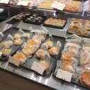 엘리스파이 이미지