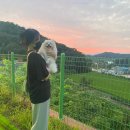 위아더멍